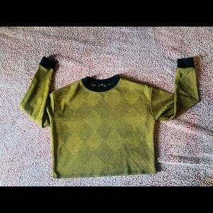 F21 Crop top Sweater